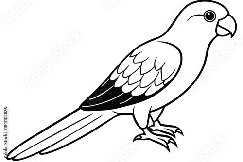 lorikeet silhouette line art vector illustration with a white background