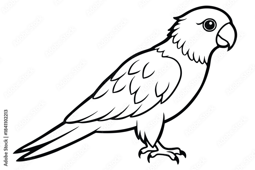 Obraz premium lorikeet silhouette line art vector illustration with a white background
