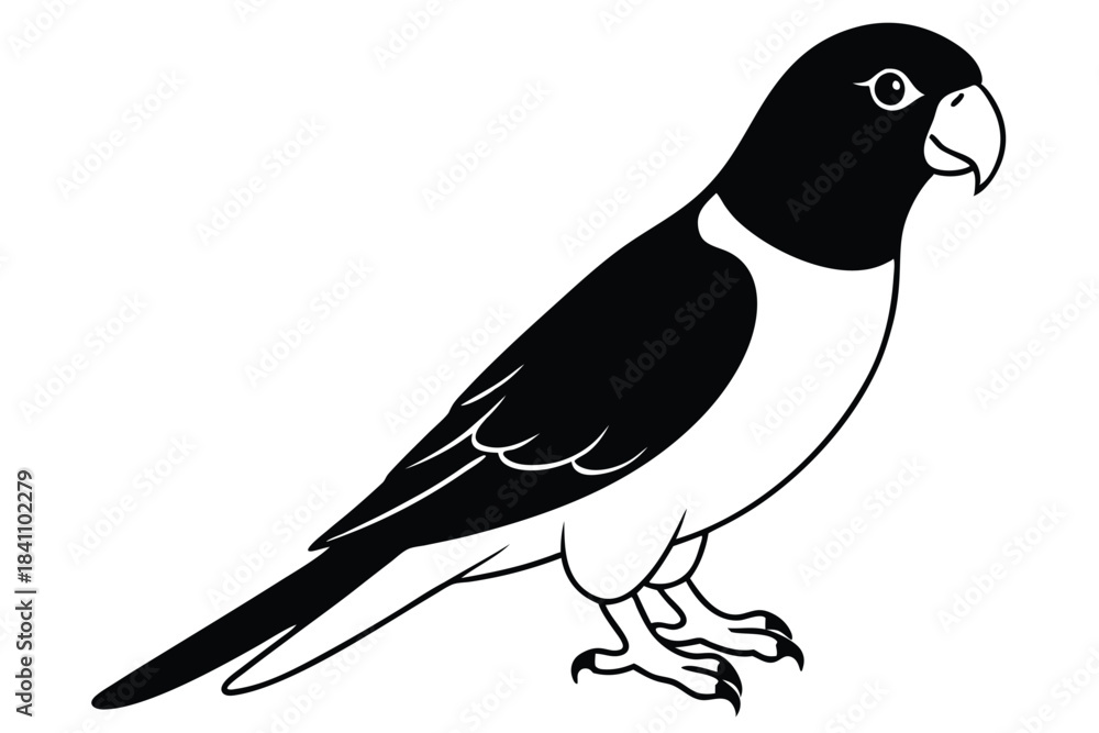 Obraz premium lorikeet silhouette line art vector illustration with a white background