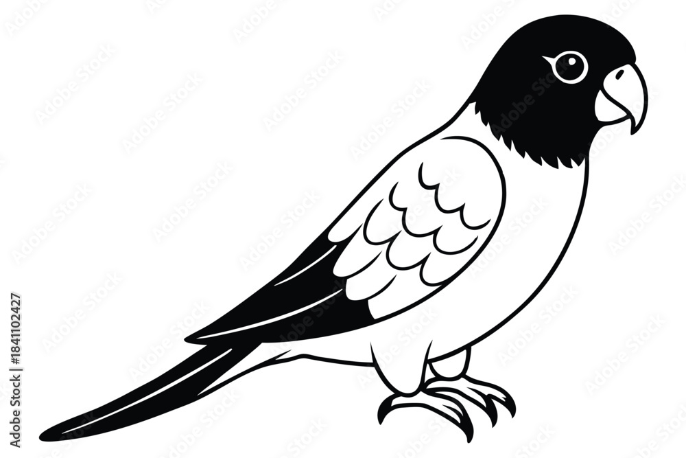 Obraz premium lorikeet silhouette line art vector illustration with a white background