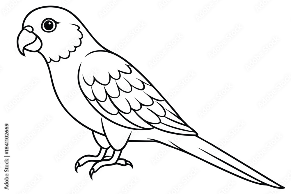 Obraz premium lorikeet silhouette line art vector illustration with a white background