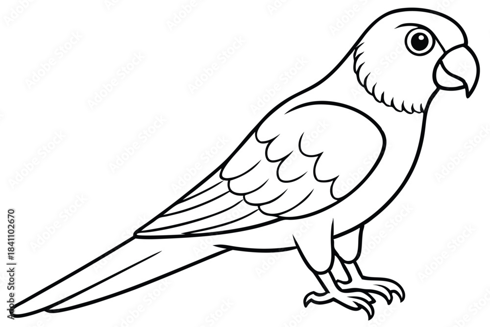 Obraz premium lorikeet silhouette line art vector illustration with a white background
