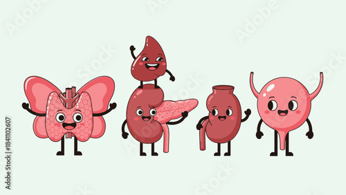 Friendly cartoon human internal organs illustration: thyroid, pancreas, kidney, spleen, and bladder characters smiling.