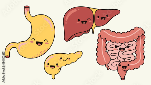 Vibrant and Cheerful Human Internal Organs Cartoon for Medical and Educational Use