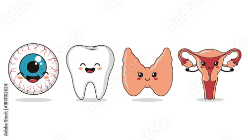 Whimsical Cartoon Human Organ Characters: Eye, Tooth, Thyroid, and Uterus for Health and Science Education