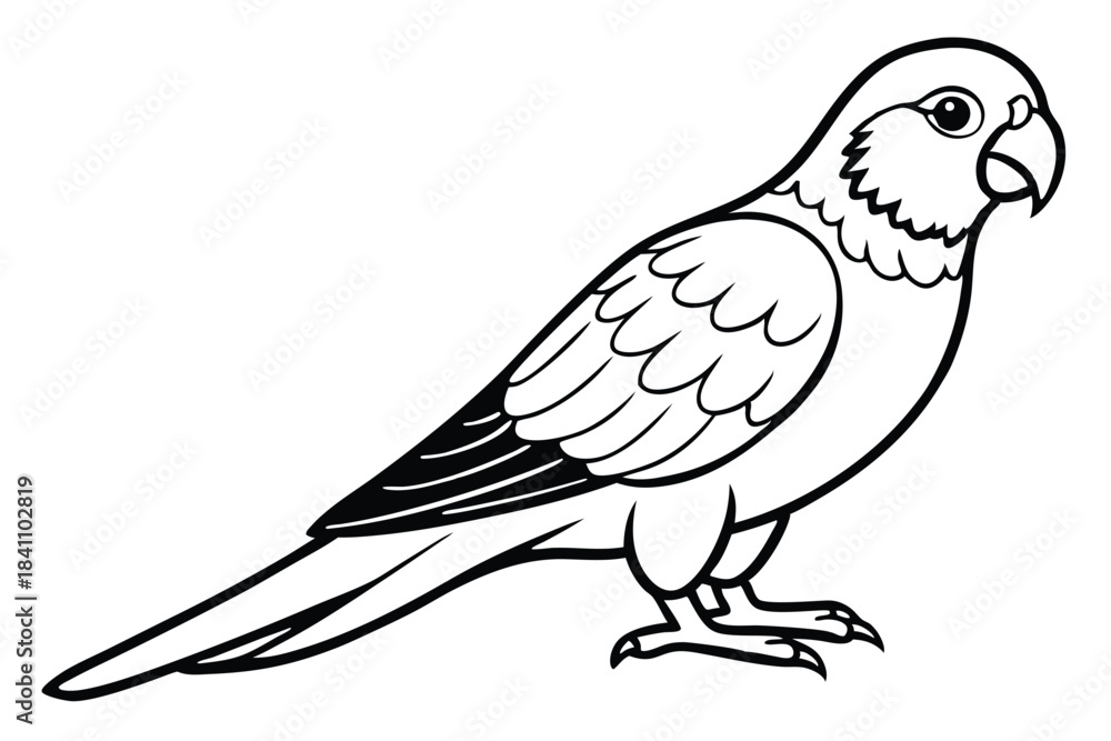 Obraz premium lorikeet silhouette line art vector illustration with a white background