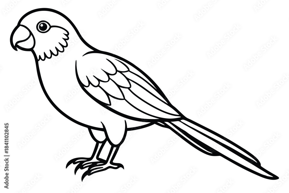 Obraz premium lorikeet silhouette line art vector illustration with a white background