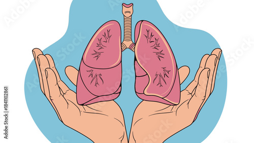 Human hands gently cradling a pair of healthy lungs, symbolizing vital respiratory care and well-being illustration