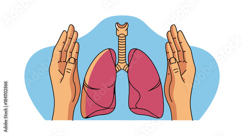 Illustration of human lungs and trachea protected by hands, symbolizing health and care for respiratory system.