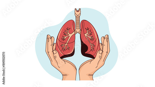 Illustration of human lungs being held by hands against a light blue background