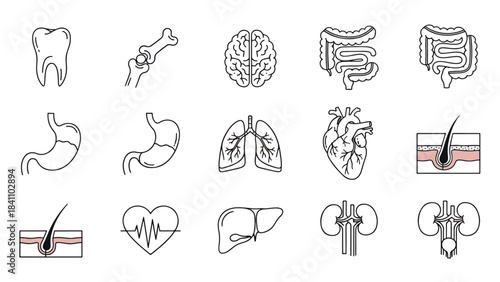 Grid of white line art icons illustrating human internal organs and key anatomical structures on a dark background for science education.