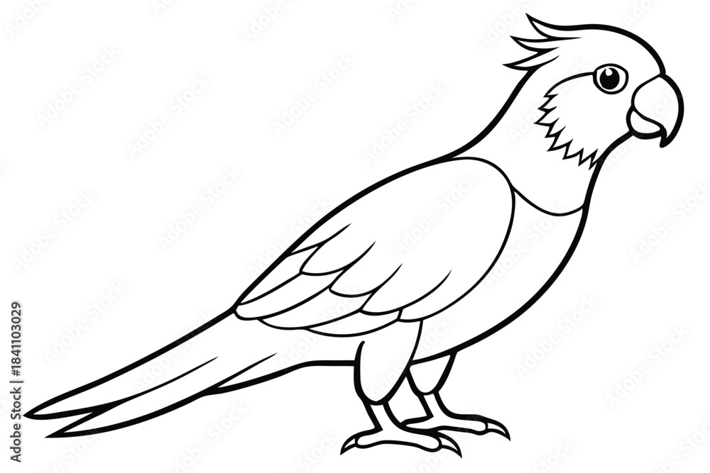 Obraz premium lorikeet silhouette line art vector illustration with a white background