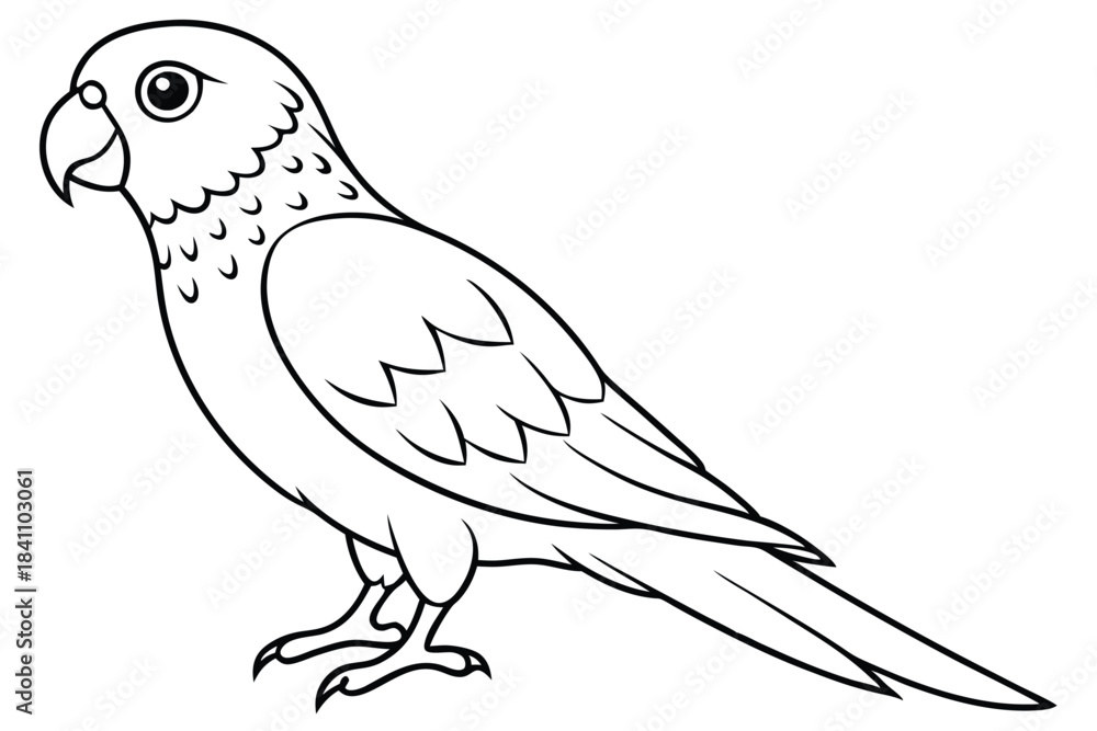 Obraz premium lorikeet silhouette line art vector illustration with a white background
