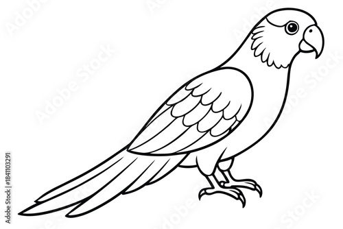 lorikeet silhouette line art vector illustration with a white background