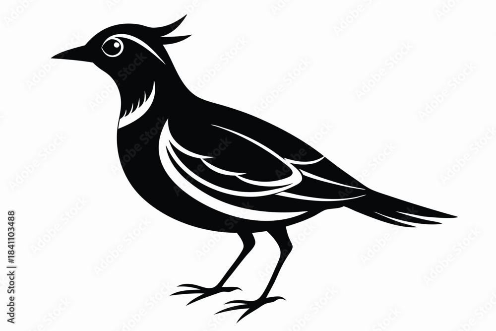 Obraz premium lark silhouette line art vector illustration with a white background