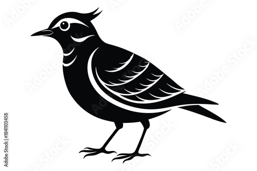 lark silhouette line art vector illustration with a white background