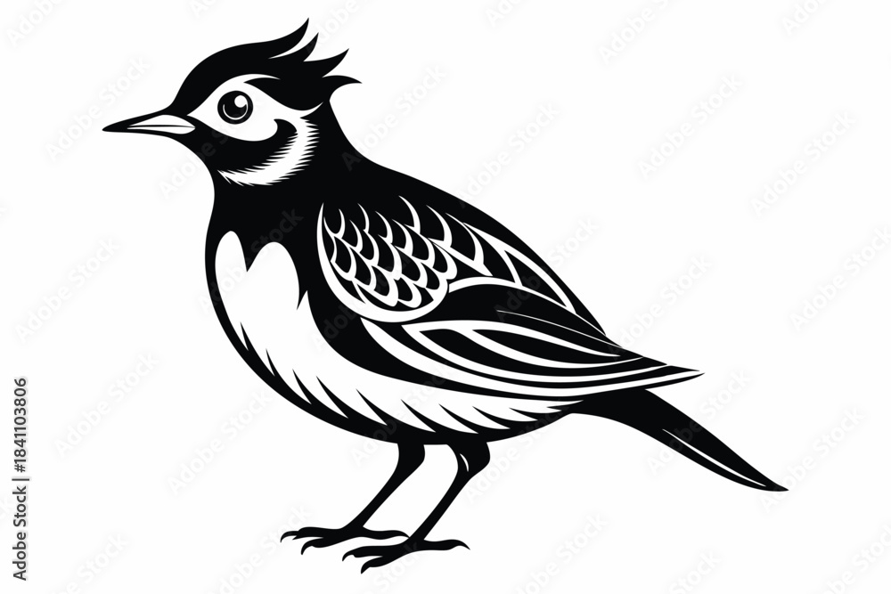 Obraz premium lark silhouette line art vector illustration with a white background