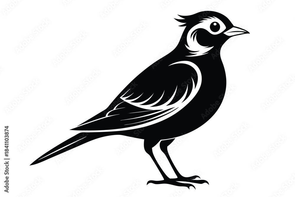Obraz premium lark silhouette line art vector illustration with a white background