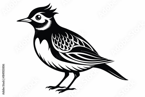 lark silhouette line art vector illustration with a white background