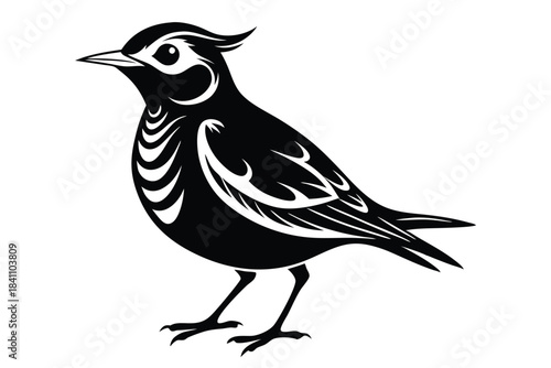 lark silhouette line art vector illustration with a white background