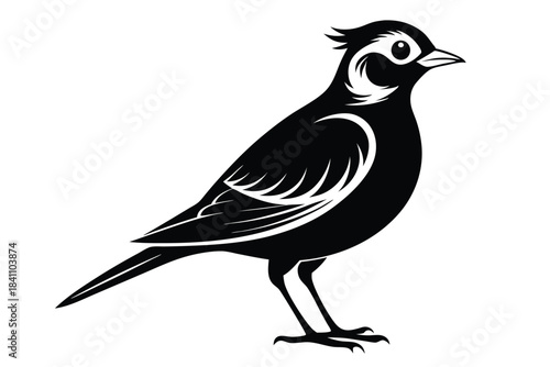 lark silhouette line art vector illustration with a white background