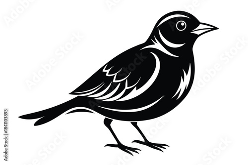 lark silhouette line art vector illustration with a white background