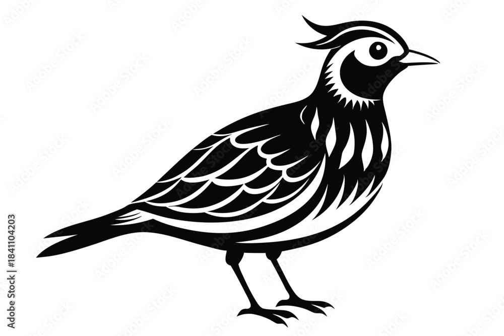 Obraz premium lark silhouette line art vector illustration with a white background