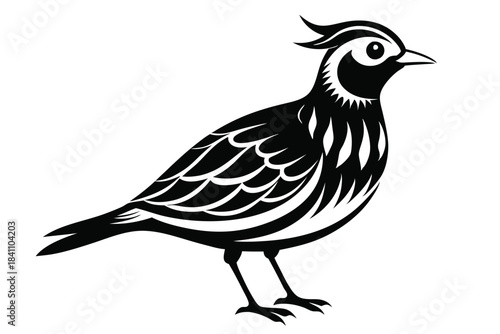 lark silhouette line art vector illustration with a white background