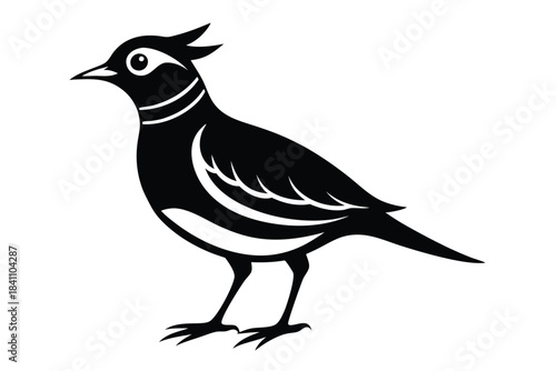 lark silhouette line art vector illustration with a white background
