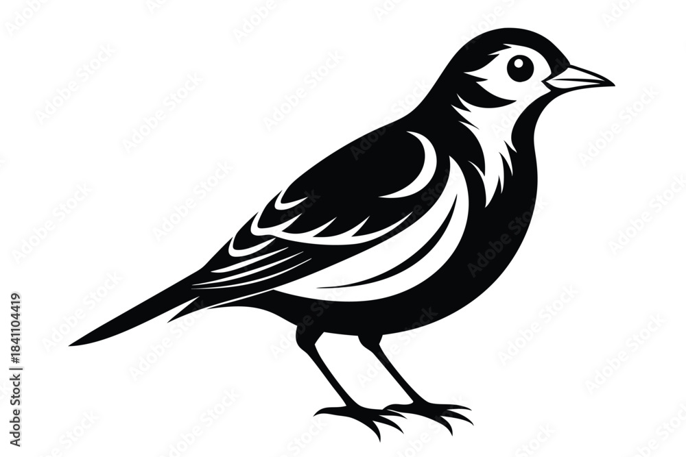 Obraz premium lark silhouette line art vector illustration with a white background