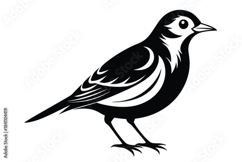 lark silhouette line art vector illustration with a white background