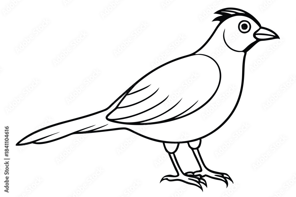 Obraz premium lark silhouette line art vector illustration with a white background