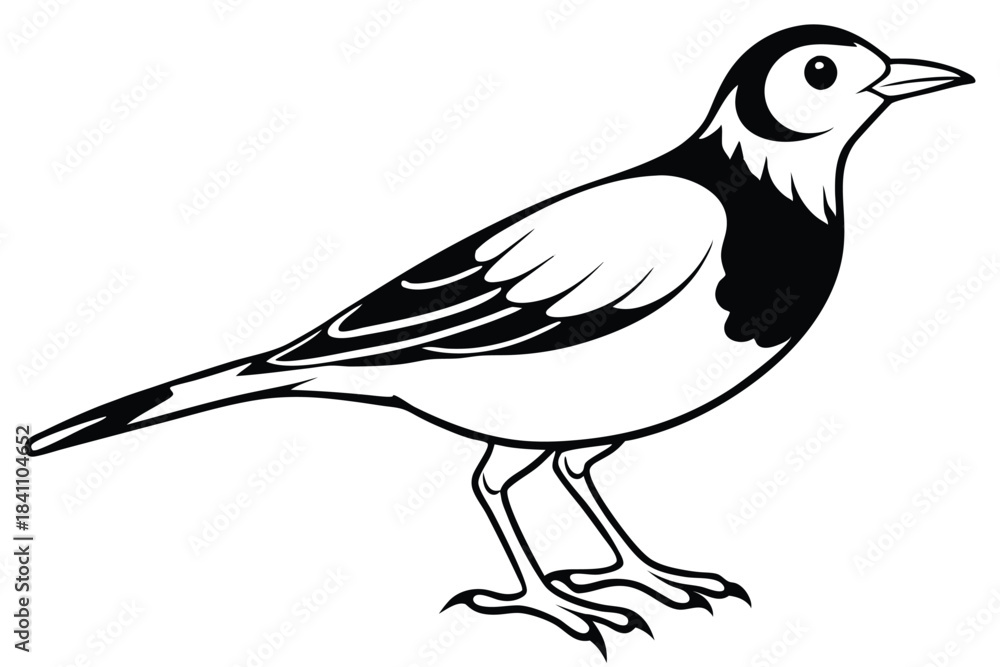 Obraz premium lark silhouette line art vector illustration with a white background