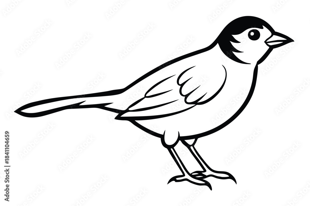 Obraz premium lark silhouette line art vector illustration with a white background