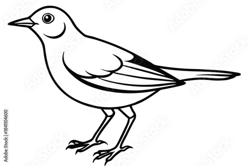 lark silhouette line art vector illustration with a white background