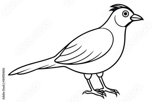 lark silhouette line art vector illustration with a white background