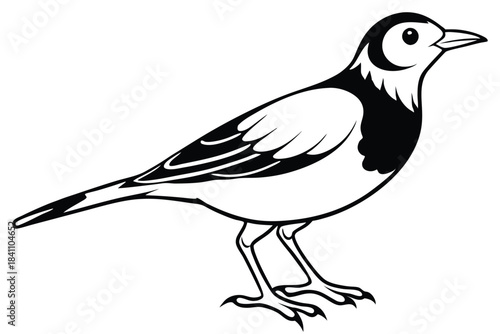 lark silhouette line art vector illustration with a white background