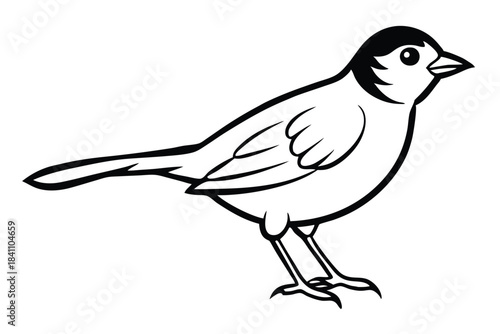 lark silhouette line art vector illustration with a white background