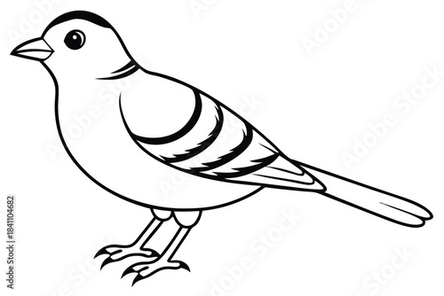 lark silhouette line art vector illustration with a white background