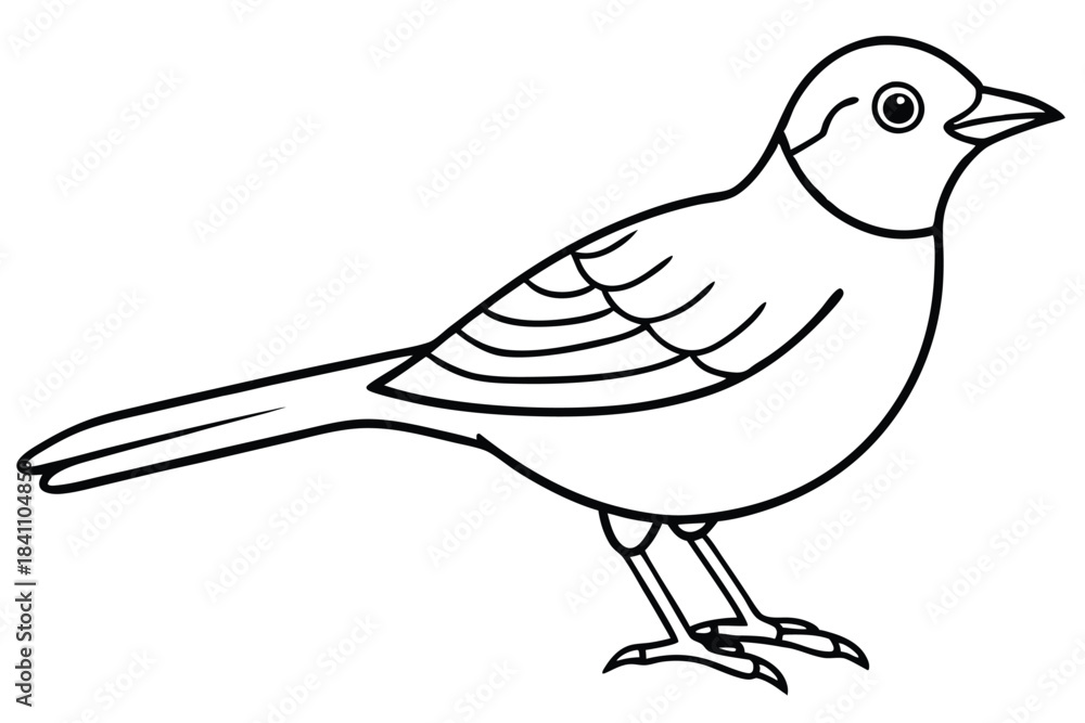 Obraz premium lark silhouette line art vector illustration with a white background