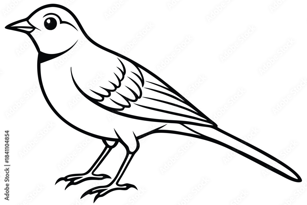 Obraz premium lark silhouette line art vector illustration with a white background