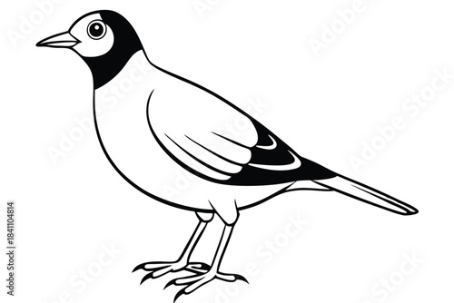 lark silhouette line art vector illustration with a white background