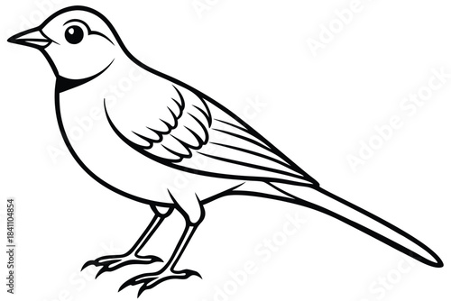 lark silhouette line art vector illustration with a white background