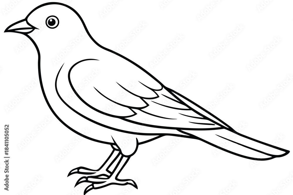 Obraz premium lark silhouette line art vector illustration with a white background