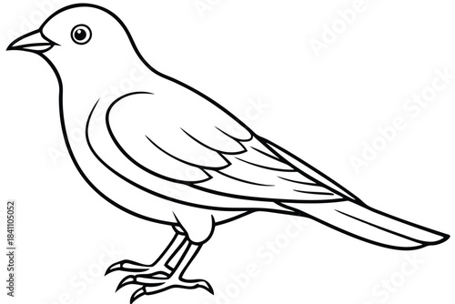 lark silhouette line art vector illustration with a white background