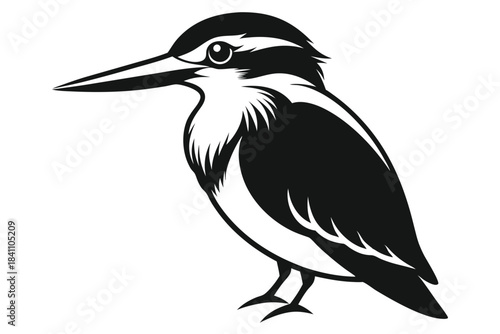 kingfisher silhouette line art vector illustration with a white background