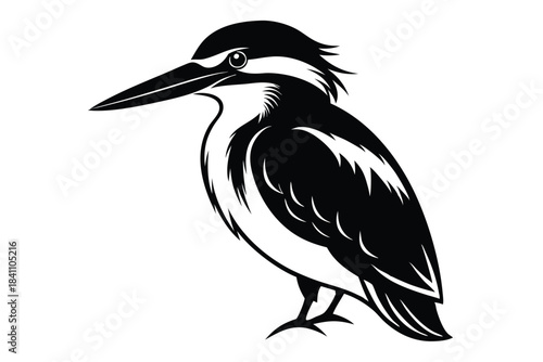 kingfisher silhouette line art vector illustration with a white background