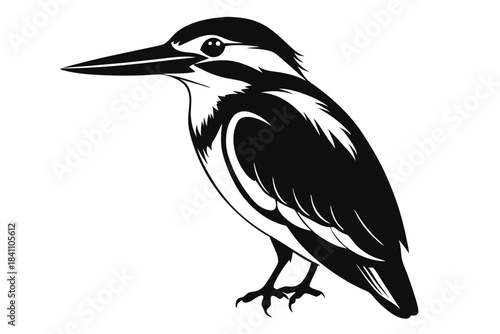 kingfisher silhouette line art vector illustration with a white background