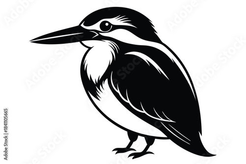kingfisher silhouette line art vector illustration with a white background