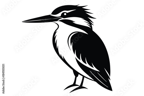 kingfisher silhouette line art vector illustration with a white background